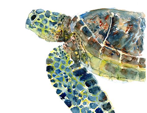 Print SEA TURTLE No 14 Watercolor Turtle Art Print Painting Etsy