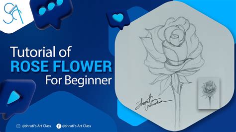 How To Draw Rose Flower For Beginners Rose Flowers Youtube