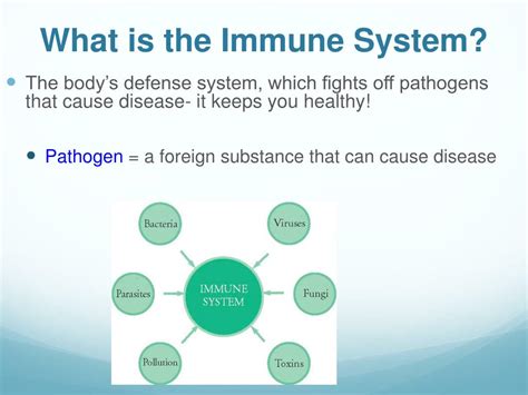 Ppt Immune System Powerpoint Presentation Free Download Id2733174