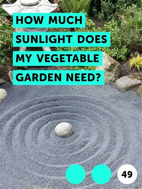 How much sun do tomatoes need? Learn How Much Sunlight Does My Vegetable Garden Need ...