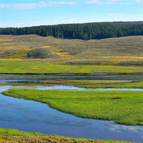 Hayden Valley Yellowstone National Park All You Need To Know Before