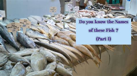 On 12 dec 2016 @crazylegsbx tweeted: Fish Facts: All about Fishes | Fish Names in English (Part ...