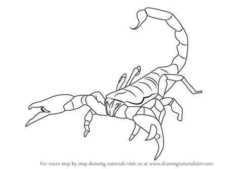 This huge damage buff lasts for only 6 seconds, so therefore players have to score as much hits before it dissipates. Simple Scorpion Drawing at GetDrawings | Free download