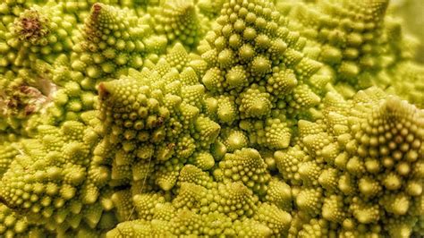 Romanesco Gemüse Die Gesundheit Kostenloses Foto Auf Pixabay