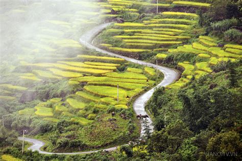 Restricted Areas in Vietnam: Nature at its finest - Travel information ...