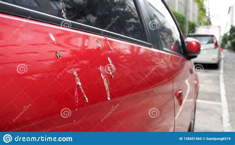 Bird Feces On Red Car Bird Droppings On Cars Stock Image Image Of