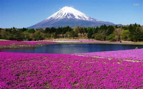 9 Tempat Wisata Di Jepang Paling Indah Dan Memorable