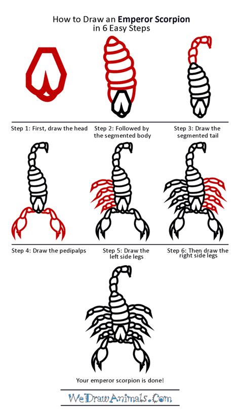 How To Draw An Emperor Scorpion