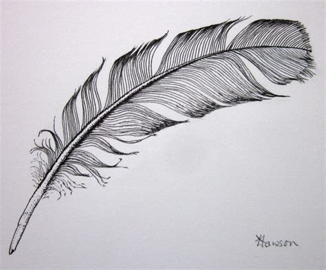 Curved Small Black Feather Original Ink Drawing