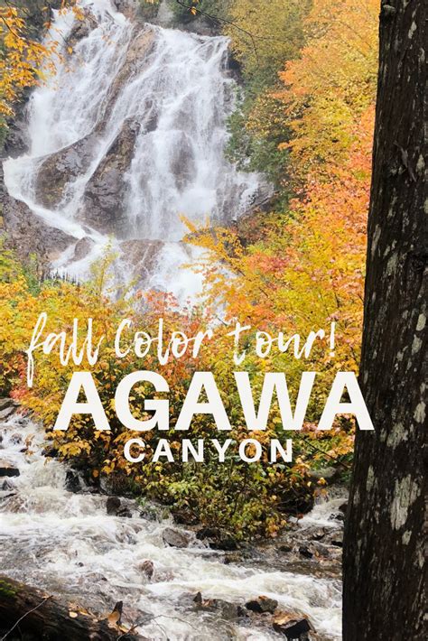 The Best Time To Take A Spectacular Agawa Canyon Color Tour Outdoors