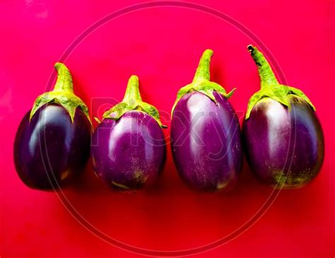 Image Of Different Types Of Brinjals Grows In India Uu565262 Picxy