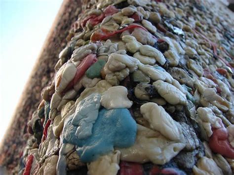 Obligatory san luis obispo gum wall selfie. The Bubblegum Alley of San Luis Obispo | Bubble gum, San ...