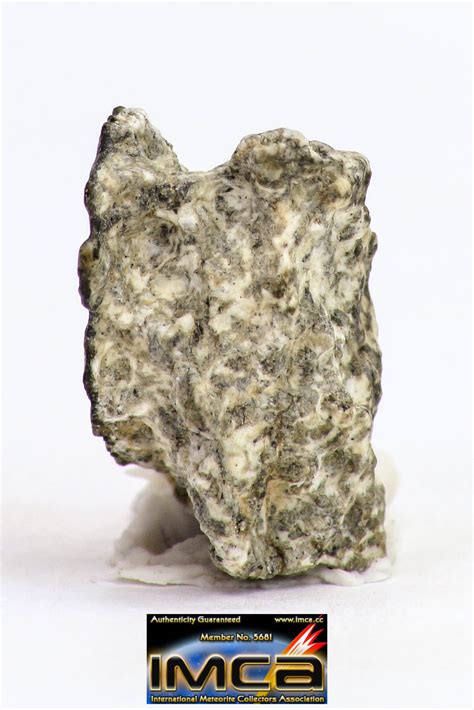 Fragment 1279 G Nwa Monomict Eucrite Achondrite With Fresh Fusion