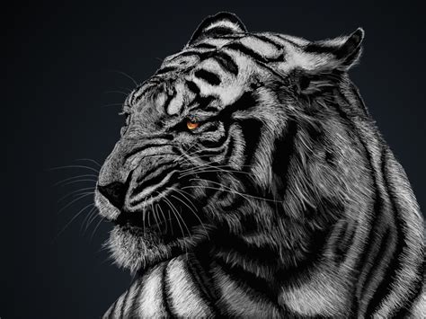 Tigger 4K Wallpapers For Your Desktop Or Mobile Screen Free And Easy To
