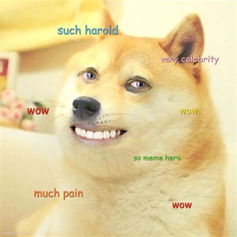 Pin On Doge Much Wow