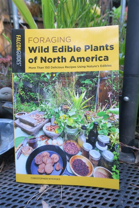 Foraging Wild Edible Plants Of North America New Revised Second
