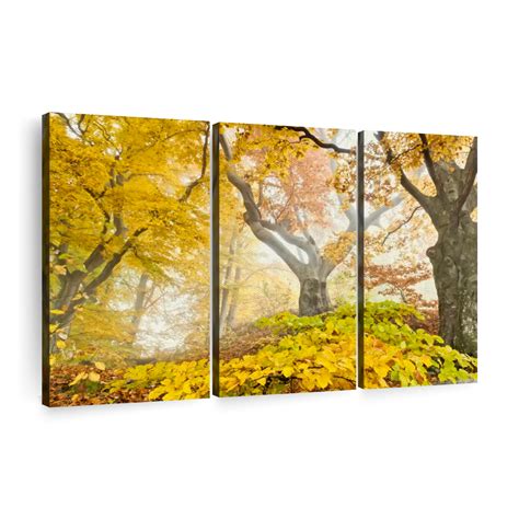 Yellow Autumn Forest Wall Art Photography