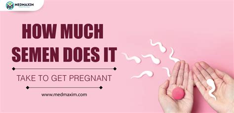 How Much Semen Does It Take To Get Pregnant Medmaxim