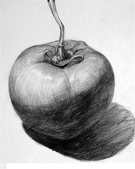 I recently finished my still life image, so decided to do a quick breakdown of what's going on in the scene! Pencil Sketch에 있는 Zinfa C님의 핀 | 사과 그림, 빛과 그림자, 스케치