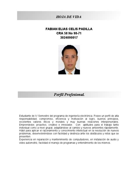 Hoja De Vida1 Fabian Pdf Business Science