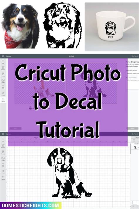 How To Turn A Picture Into An SVG For The Cricut 2023