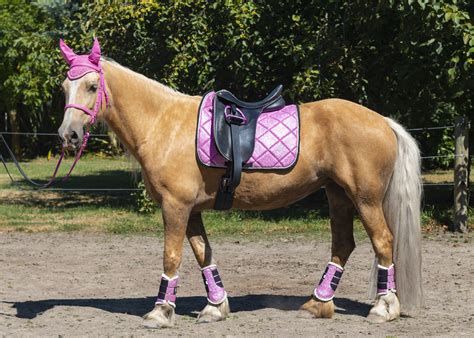 Pink Glitter Matchy Matchy Set Pony Tack Horse Riding Gear Horse Tack