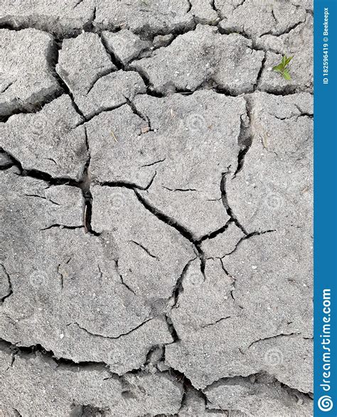 Arid Dry Soil Soil Cracked With Large Cracks Due To Drought In The