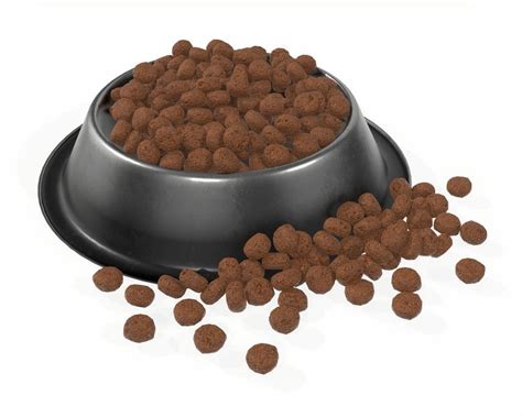 Stop in today and check us out. 3D model dog food bowl with food 2 | CGTrader