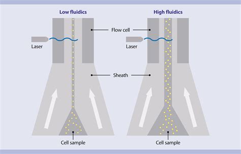 Flow Cytometry Basics Miltenyi Biotec 대한민국