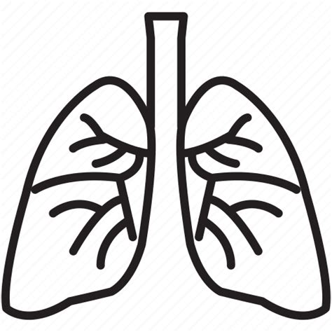 Damage Lungs Organ Smoke Smoking Icon Download On Iconfinder