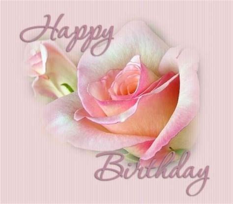Pink Blossoming Happy Birthday Rose Pictures Photos And Images For
