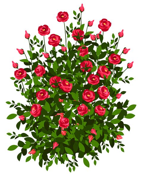Rose Bushes Clipart 20 Free Cliparts Download Images On Clipground 2021