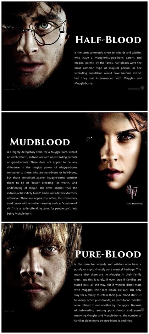 Harry Potter Half Blood Mudblood Pure Blood