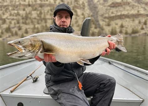 Oregon Angler Lands Potential State And World Record Bull Trout