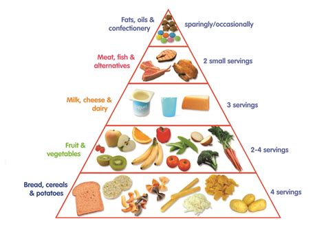 Food Pyramid Is A Chart Which Represents Servings Of Food