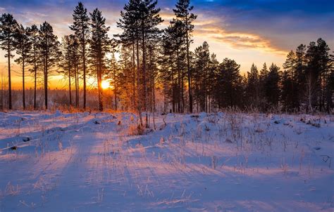 Snow Forest Sunrise Wallpapers Top Free Snow Forest Sunrise