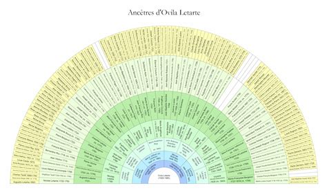 Avec genopresse vous pouvez imprimer plusieurs générations de votre ascendance sous forme d'arbre généalogique en. Arbre généalogique en éventail • Roue d'ascendance demi ...