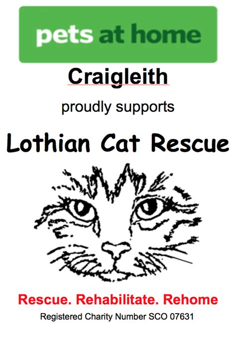 In Store At Pets At Home Craigleith Lothian Cat Rescue