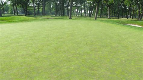 Managing Putting Greens That Are A Mix Of Poa Annua And Creeping Bentgrass
