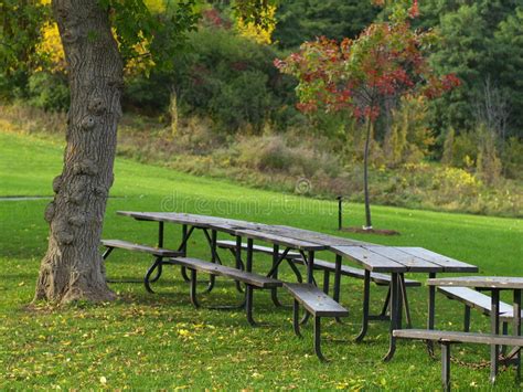 Picnic Tables Stock Photo Image Of Beautiful Autumn 11835646