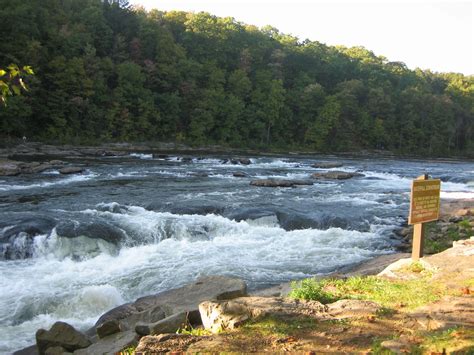 Rustic treehouse for two (from usd 249) ohiopyle pet friendly cabins | rustic treehouse for two. Benner's Camping & Cabins Farmington, PA, Fayette County ...