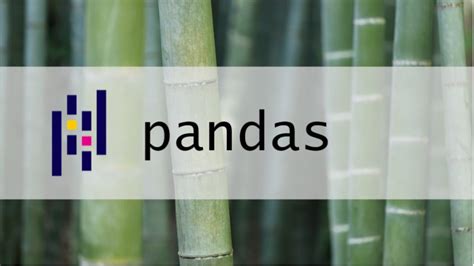 Get Head And Tail Of A Pandas Dataframe Or Series Ask - vrogue.co