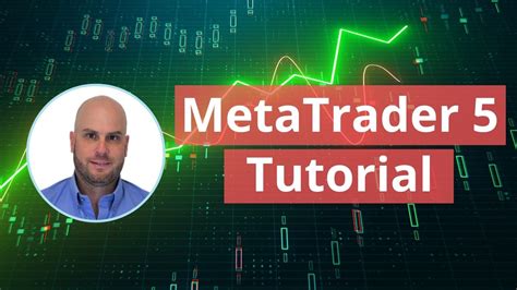 Metatrader 5 Tutorial For Beginners Pdf Guide Ea Trading Academy