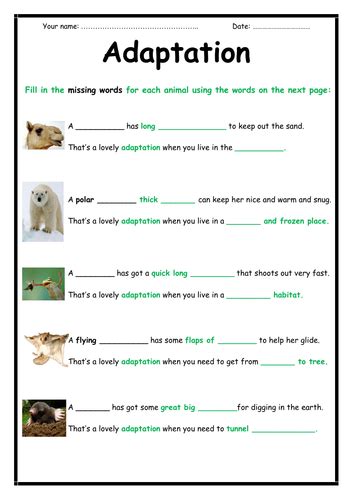 Adaptation Activity 2 Page Booklet Teaching Resources