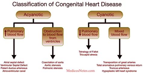 Congenital Heart Disease Causes Symptoms And Treatment