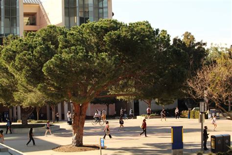 Career Explorations - UCI Graduate Division