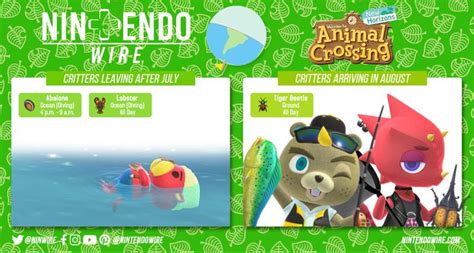 Animal Crossing Sea Creature List - ABIEWET