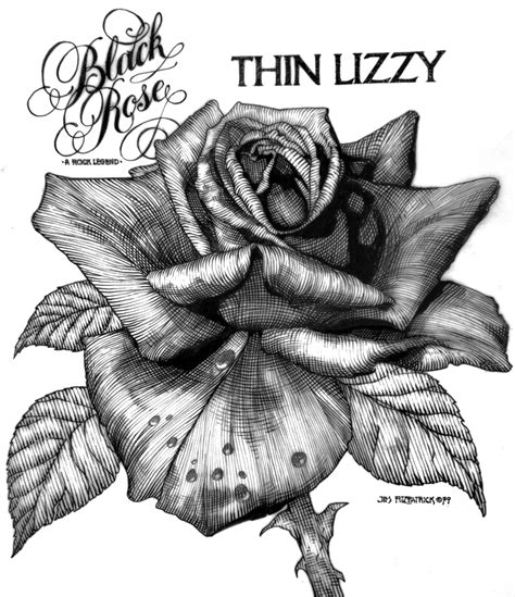 Black Rose Drawing At Paintingvalley Com Explore Collection Of Black Rose Drawing