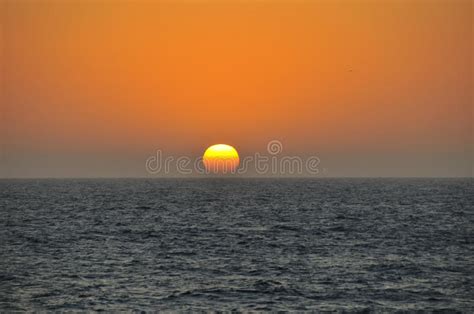 Sunset Over The Pacific Ocean Stock Image Image Of California Tree