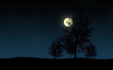 Moon Trees Night Hd Wallpapers Desktop And Mobile Images And Photos